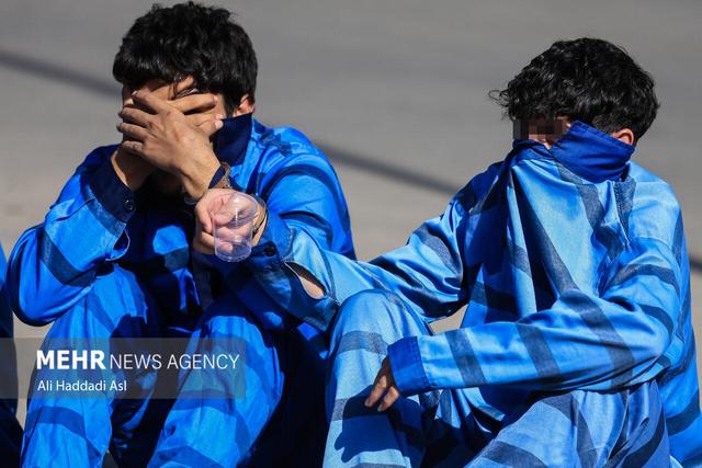 سارقان حرفه‌ای سیم برق در گناوه دستگیر شدند