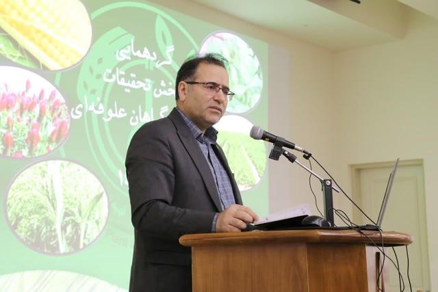 معاون تات: کشور در ذرت علوفه‌ای به مرحله خودکفایی رسید