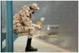 فراخوان جذب نیروی امریه جهاد دانشگاهی واحد تربیت‌مدرس