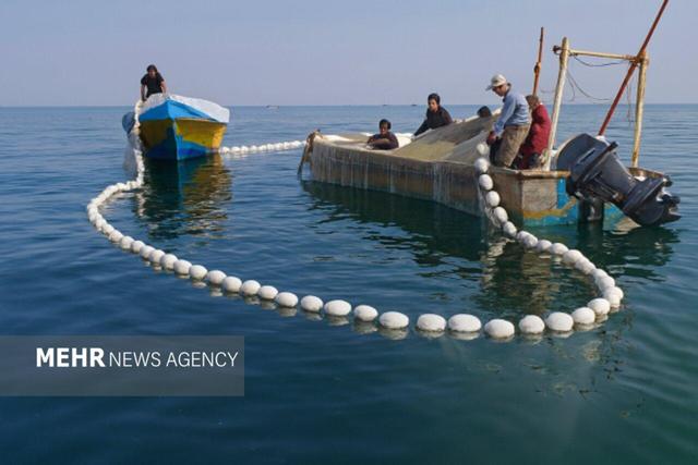 مسیر هوشمندسازی آبزی‌پروری در مازندران شتاب می‌گیرد