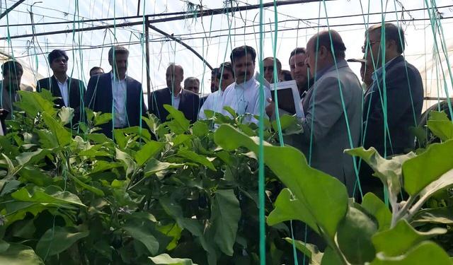 محرومیت‌زدایی از جنوب کرمان؛ پای صحبت نمایندگان با معاون رئیس‌جمهور