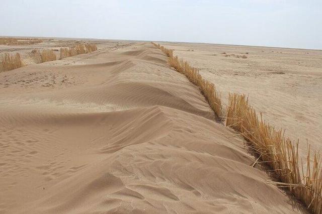 احداث بادشکن زنده ۸۰ کیلومتری در جاسک