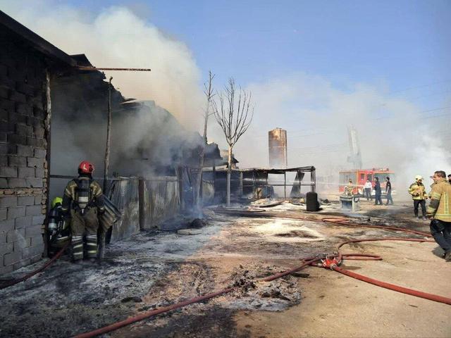آتش‌سوزی گسترده یک گاراژ چوب‌بری در بزرگراه آزادگان/ مهار حریق بدون تلفات جانی