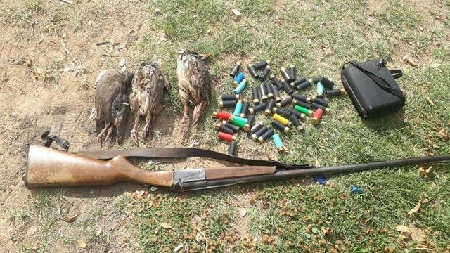 تشکیل ۲۱ پرونده تخلفات زیست محیطی در خراسان شمالی طی ماه گذشته