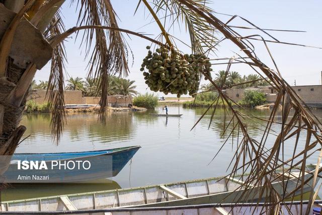 حال تالاب بین‌المللی شادگان؛ فعلا خوب اما شکننده
