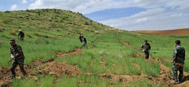 برنامه‌های منابع طبیعی لرستان در سه محور اصلی؛ حفاظت، کاشت نهال و آبخیزداری