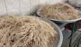 توزیع آش نذری توسط بسیجیان قوچانی