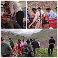 مصدومیت کوهنورد جوان در حمله ناگهانی به وی در سمیرم
