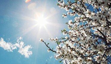 آغاز هفته با جوی آرام در آذربایجان غربی؛ گزارش هواشناسی ۱۹ اردیبهشت ۱۴۰۵