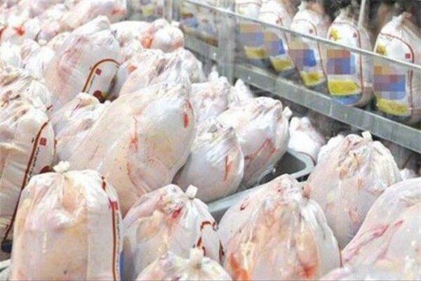 ذخایر مرغ منجمد کافی است