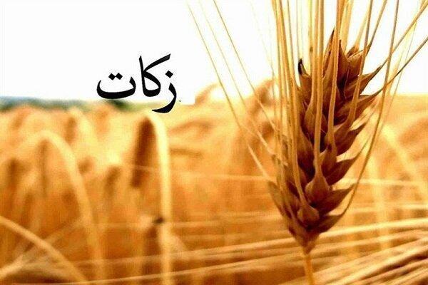مردم چهارمحال و بختیاری بیش از ۵۵ میلیارد تومان زکات پرداخت کردند