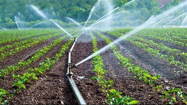 تجهیز نزدیک به ۸ هزار هکتار از اراضی کشاورزی پلدشت و شوط به سامانه‌های نوین آبیاری