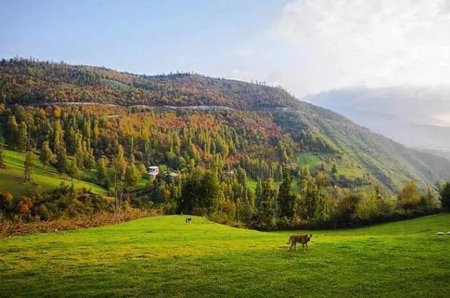 دمای هوای مازندران تا چهارشنبه افزایشی است