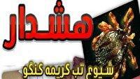 هشدار دامپزشکی خراسان جنوبی برای تب خونریزی دهنده کریمه کنگو
