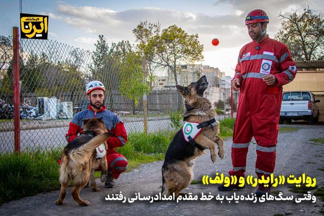 فیلم | روایت «رایدر» و «ولف»؛ وقتی سگ‌های زنده‌یاب به خط مقدم امدادرسانی رفتند