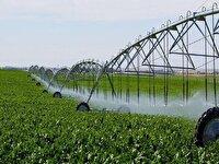 اجرای طرح نمونه آبیاری هوشمند در ۱۲۰ مزرعه کشور