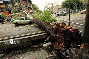 مصدومیت ۱۷ نفر در پی وزش باد شدید در استان تهران