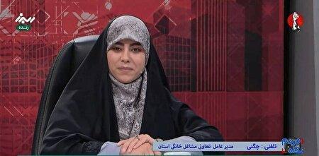 البرز از استان‌های موفق در ساماندهی مشاغل خانگی است