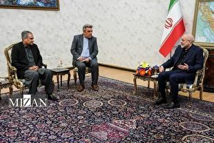 دیدار وزیر کشور پاکستان با رئیس مجلس شورای اسلامی