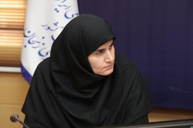 معاون استاندار زنجان: با سهم نیم‌درصدی از اقتصاد جهان در برابر ابرقدرت‌ها ایستاده‌ایم
