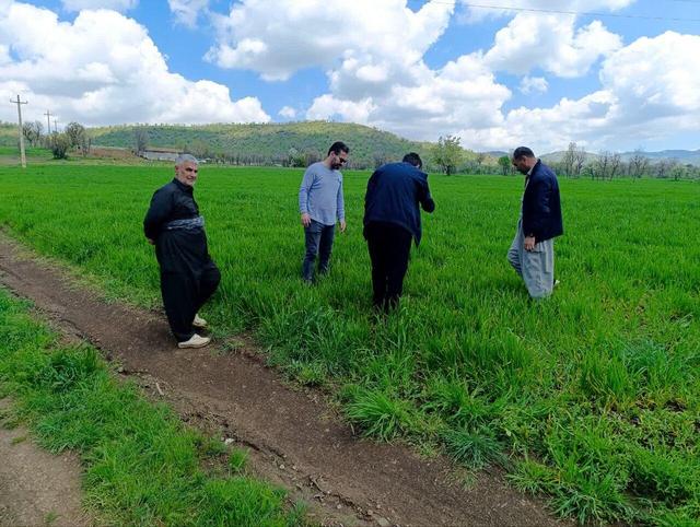 کشاورزان نمونه داوطلب ترویج تولید ۴ محصول استراتژیک در آذربایجان‌غربی شدند
