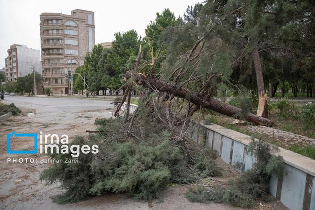 هشدار هواشناسی کرمانشاه: وزش باد شدید و گردوغبار از دوشنبه تا جمعه