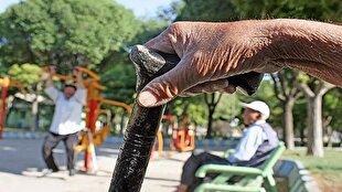 هشدار؛ قم در مسیر سالمندی / ۴۸.۵ درصد جمعیت در آستانه خروج از میانسالی