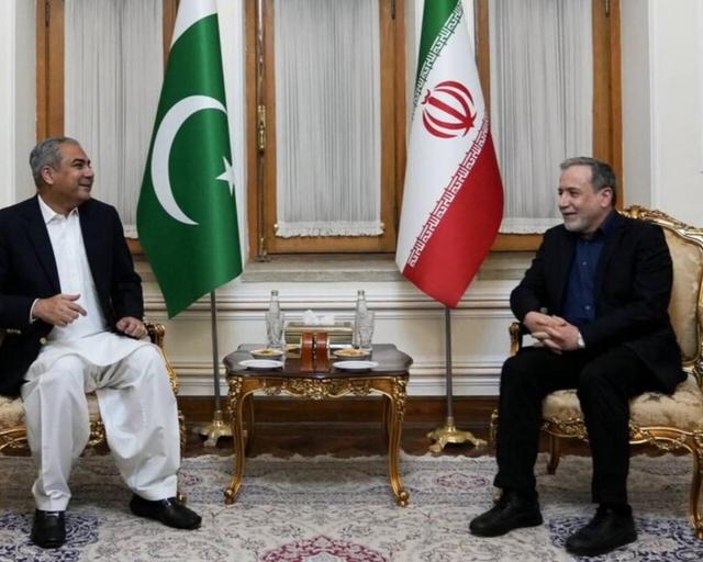 دیدار و گفت‌وگوی عراقچی با وزیر کشور پاکستان