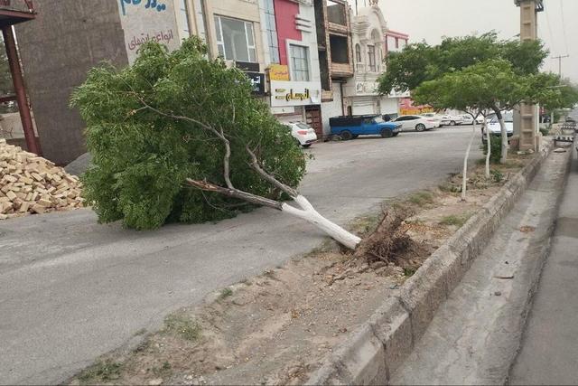 بروز خسارت طوفان و تگرگ به بخش کشاورزی و زیرساخت‌های برق خراسان جنوبی