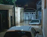 تدوین مدل علمی هوشمند برای جبران خسارت سیل در جهرم