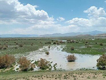 آبگیری دوباره تالاب گرده‌قیط و میمند نقده پس از ۲۰ سال