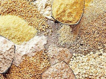 آغاز پرداخت اعتبار ویژه خرید نهاده دام و طیور در خوزستان