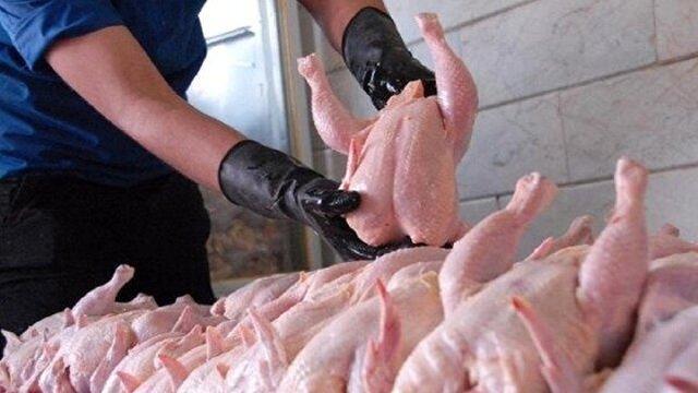 تداوم نظارت بر بازار مرغ