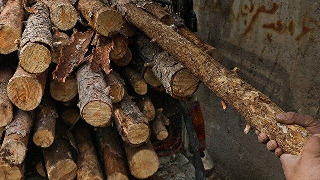 کشف محموله‌های قاچاق تاغ در میرجاوه؛ برخورد قاطع یگان حفاظت با سودجویان