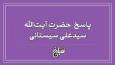 نظر آیت الله سیستانی درباره مناسک حج؛ وظیفه کسی که قدرت بر قربانی ندارد