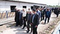 ۴۵۰ هزار نفر زیر پوشش بنیاد آبشار عاطفه‌های کشور