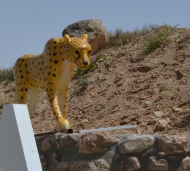 نصب مجسمه یوزپلنگ آسیایی در قلعه بالا