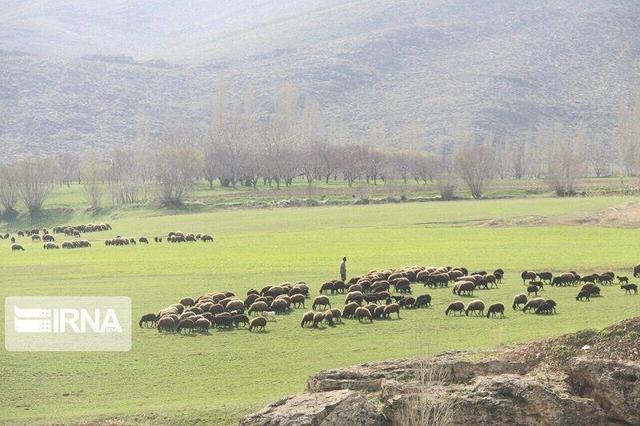 منابع طبیعی بوکان میانجی حل اختلافات اهالی سه روستا بر سرمرتع شد