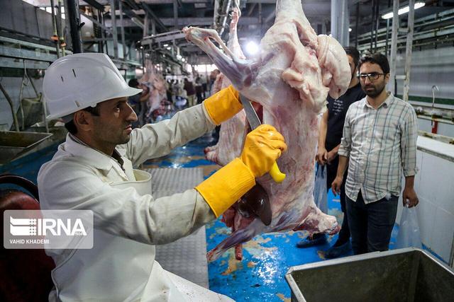 ذبح دام فقط در کشتارگاه‌های مجاز انجام شود