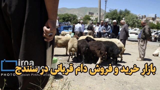 فیلم| بازار خرید و فروش دام قربانی در سنندج