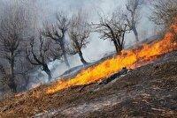  خطر آتش‌سوزی در کمین جنگل‌ها و مراتع خراسان شمالی 