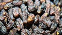 فعالیت ۳۳ واحد فرآوری و صادرات خرما در آذربایجان شرقی