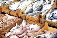 به‌زودی ، راه‌اندازی صندوق اختصاصی حمایت از شیلات خوزستان