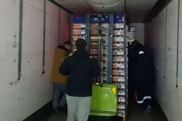 جهش ۱۴۴ درصدی حمل کالاهای اساسی در استان بوشهر