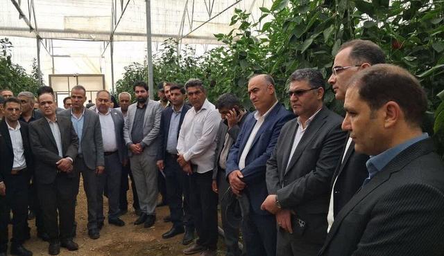 ۱۷ هزار میلیارد ریال برای ساخت سه مجتمع گلخانه‌ای در شهرستان بروجن هزینه می‌شود