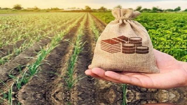 ۳۷.۵ همت تأمین مالی در بازار نهاده‌ها و محصولات کشاورزی