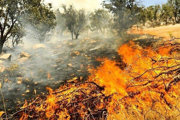 مهار آتش‌سوزی ۱۵۰ هکتار از مراتع تنگ ماهور در مروست یزد