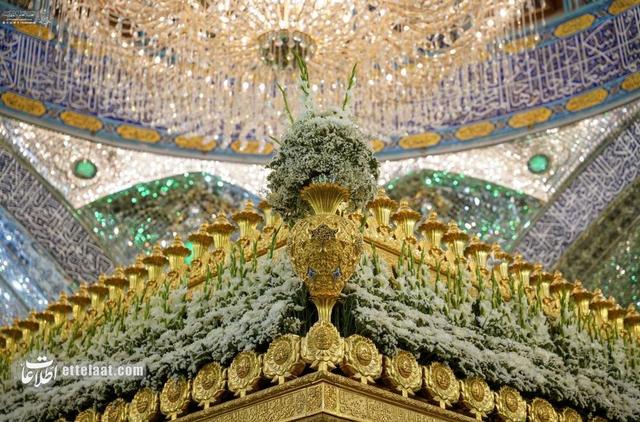 گل‌باران ضریح مطهر علوی در آستانه عید غدیر+تصاویر