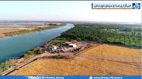 افزایش تولید گندم دیم در خوزستان