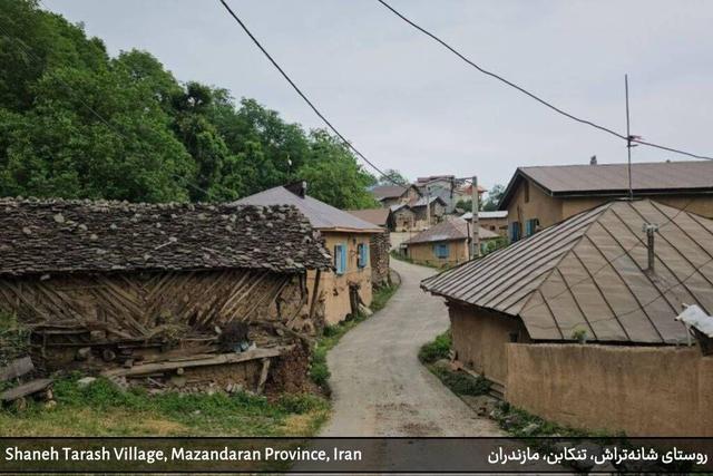 گام‌های «شانه‌تراش» تنکابن برای جهانی شدن؛ پنچ اثر ناملموس شانه‌تراش در مسیر ثبت ملی